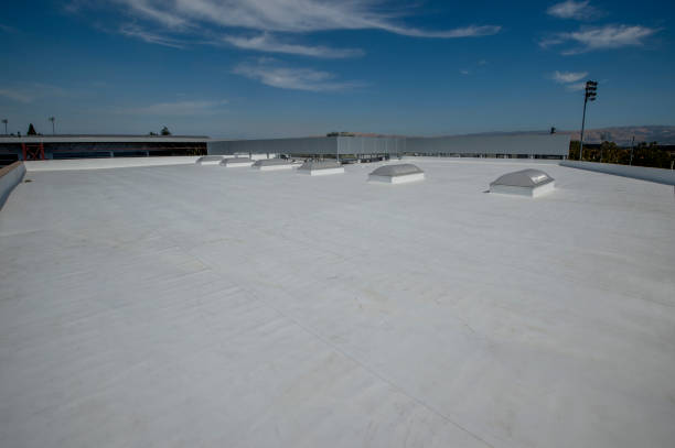 Gutter Replacement in La Feria, TX
