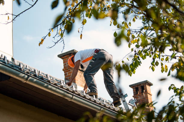 Best Rubber Roofing (EPDM, TPO)  in La Feria, TX