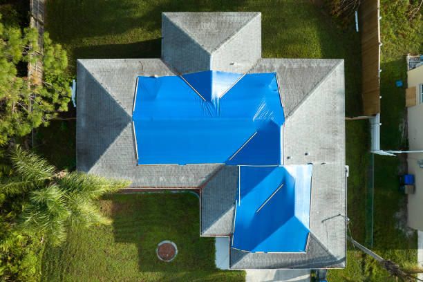 Best Rubber Roofing (EPDM, TPO)  in La Feria, TX
