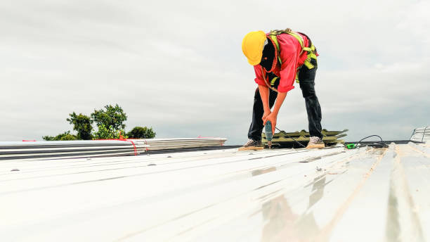 Best Storm Damage Roof Repair  in La Feria, TX