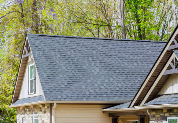 Best Gutter Installation and Repair  in La Feria, TX
