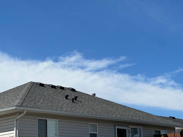 Best Roof Moss and Algae Removal  in La Feria, TX