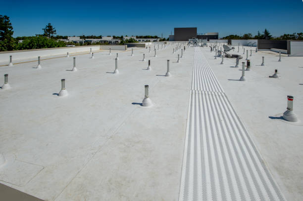 Best Roof Insulation Installation  in La Feria, TX